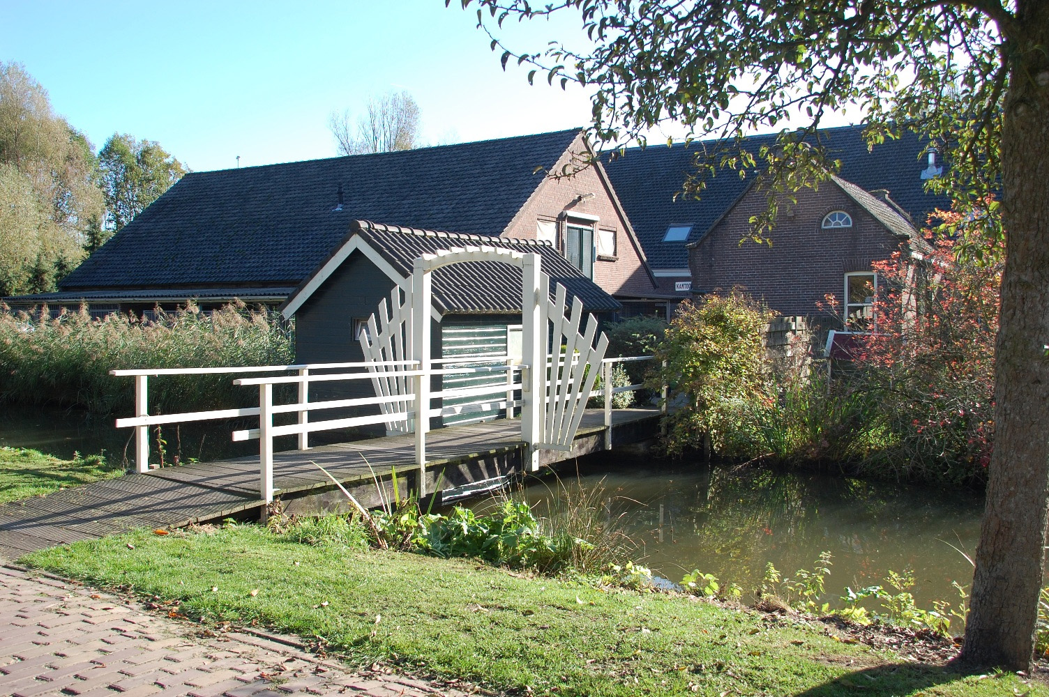 Rijpickerwaard