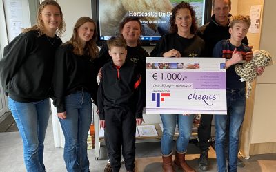 Horses&Co bij Sep